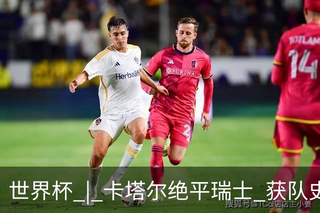 世界杯 | 卡塔尔绝平瑞士 获队史首个世界杯积分